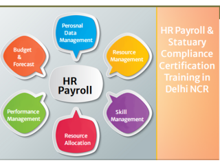 Free HR Course in Delhi, 110082, With Free SAP HCM HR by SLA Consultants Institute in Delhi [100% Placement, Learn New Skill of '24]