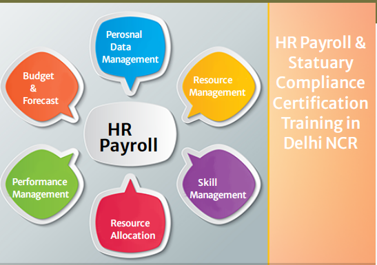 free-hr-course-in-delhi-110082-with-free-sap-hcm-hr-by-sla-consultants-institute-in-delhi-100-placement-learn-new-skill-of-24-big-0