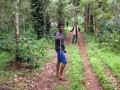 malnad-homestay-chikmagalur-9482293312-small-2