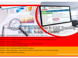 Tally Course in Delhi, 110002 [GST Update 2024] by SLA Accounting Institute, Taxation and Tally ERP Institute in Delhi,