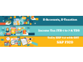 remote-work-global-opportunities-why-accounting-is-a-smart-choice-in-2025-get-best-accounting-certification-course-in-delhi-small-0